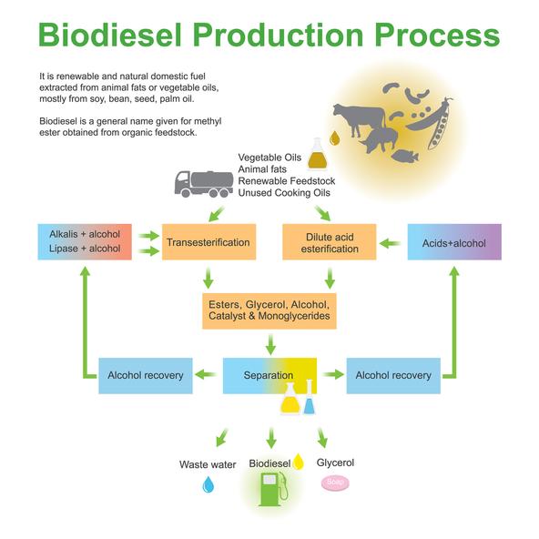 Biodiesel Production Process. biodiesel is a general name given for methyl ester obtained from organic feedstock.